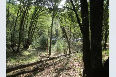 16172 Annie Drive, Grass Valley, CA 95949 - Photo 15