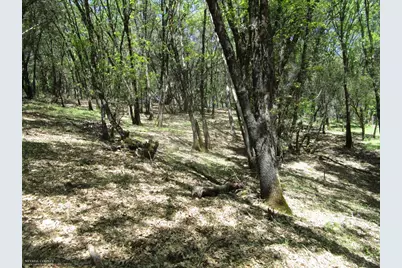 16172 Annie Drive, Grass Valley, CA 95949 - Photo 7