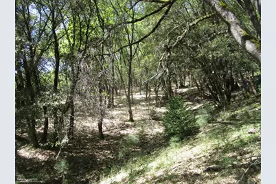 16172 Annie Drive, Grass Valley, CA 95949 - Photo 17