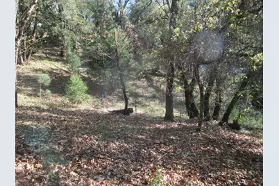 16172 Annie Drive, Grass Valley, CA 95949 - Photo 13