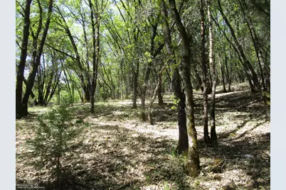 16172 Annie Drive, Grass Valley, CA 95949 - Photo 5