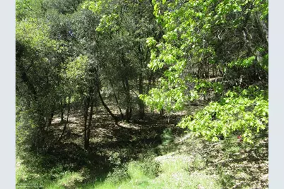 16172 Annie Drive, Grass Valley, CA 95949 - Photo 3