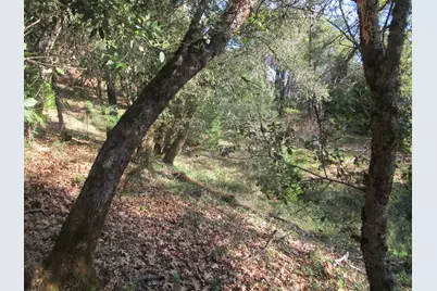 16172 Annie Drive, Grass Valley, CA 95949 - Photo 11