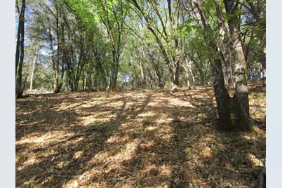 16172 Annie Drive, Grass Valley, CA 95949 - Photo 19