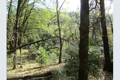 16172 Annie Drive, Grass Valley, CA 95949 - Photo 1