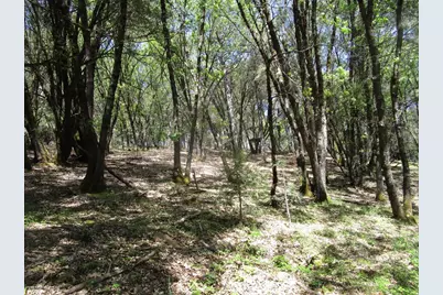 16172 Annie Drive, Grass Valley, CA 95949 - Photo 9