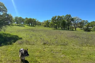 3404 Little John Rd, Copperopolis, CA 95228 - Photo 1