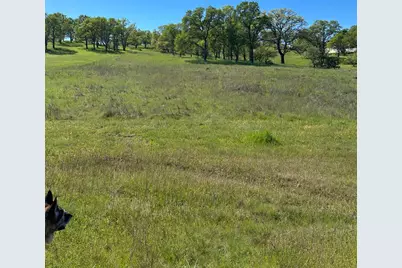 3404 Little John Road, Copperopolis, CA 95228 - Photo 3