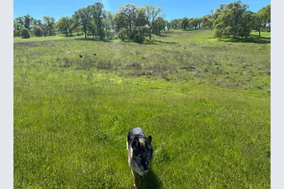 3404 Little John Road, Copperopolis, CA 95228 - Photo 5