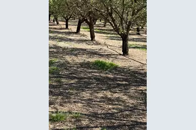 6009 Whitworth Road, Gustine, CA 95360 - Photo 5