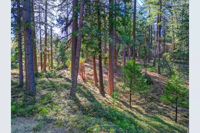 2568 Aspen Way, Arnold, CA 95223 - Photo 5