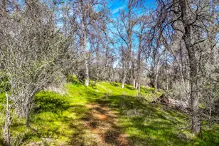 5603 Gold Mountain, Mountain Ranch, CA 95246 - Photo 67