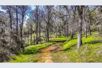 5603 Gold Mountain, Mountain Ranch, CA 95246 - Photo 65