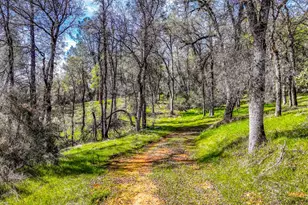 5603 Gold Mountain, Mountain Ranch, CA 95246 - Photo 65