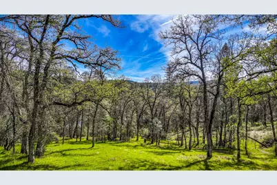 5603 Gold Mountain, Mountain Ranch, CA 95246 - Photo 69