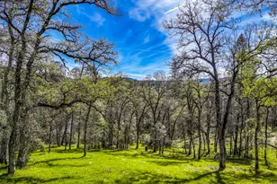 5603 Gold Mountain, Mountain Ranch, CA 95246 - Photo 69