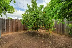 9088 Bramble Trail Way, Sacramento, CA 95826 - Photo 21