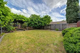 9088 Bramble Trail Way, Sacramento, CA 95826 - Photo 23