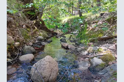 4121 Sierra Springs Drive, Pollock Pines, CA 95726 - Photo 5