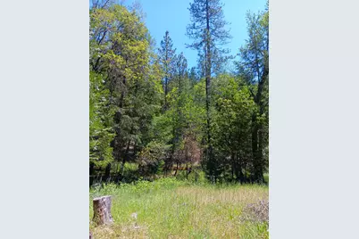 4121 Sierra Springs Drive, Pollock Pines, CA 95726 - Photo 11