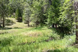 4121 Sierra Springs Dr, Pollock Pines, CA 95726 - Photo 1