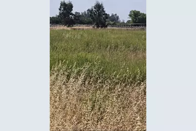 0 Road 31, Artois, CA 95963 - Photo 11