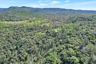 17513 Derby Way, Penn Valley, CA 95946 - Photo 73