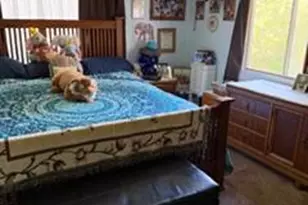 Grass Valley Hwy, Auburn, CA 95603 - Photo 9