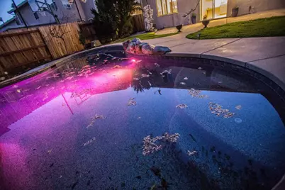 5136 Bessemer Way, Sacramento, CA 95835 - Photo 21