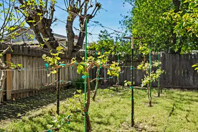 404 Cabrillo Avenue, Davis, CA 95616 - Photo 25