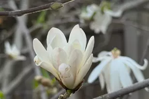 8772 Newry Ct, Elk Grove, CA 95624 - Photo 97