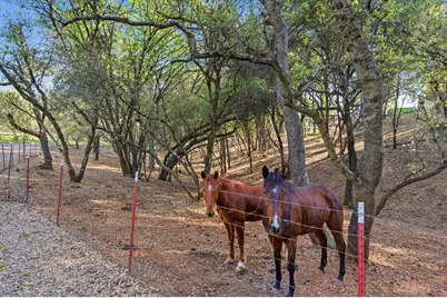 18835 Hilltop Road, Penn Valley, CA 95946 - Photo 43