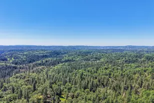 2399 Campo Flores Ln, West Point, CA 95255 - Photo 71