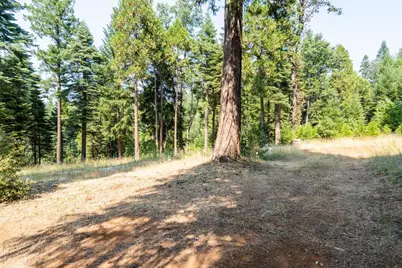13518 Quaker Hill Cross Road, Nevada City, CA 95959 - Photo 11