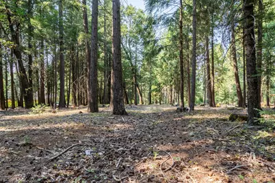 13518 Quaker Hill Cross Road, Nevada City, CA 95959 - Photo 19