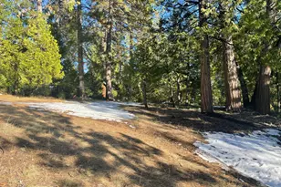 2798 Fairway Dr, Arnold, CA 95223 - Photo 1