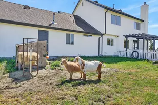 7211 Co Rd 99W, Zamora, CA 95698 - Photo 69