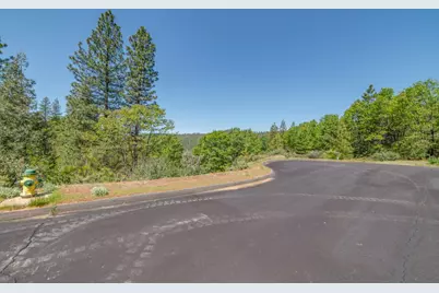 241 Red Apple Drive, Murphys, CA 95247 - Photo 3