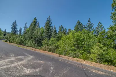 241 Red Apple Drive, Murphys, CA 95247 - Photo 13