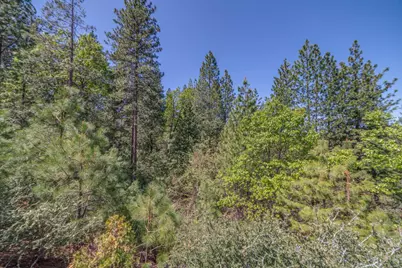 241 Red Apple Drive, Murphys, CA 95247 - Photo 15