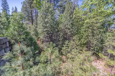 241 Red Apple Drive, Murphys, CA 95247 - Photo 15