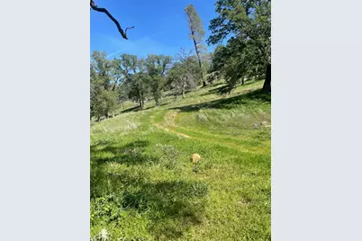 9841 Gary Drive, Browns Valley, CA 95918 - Photo 15