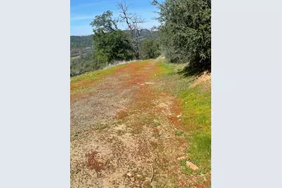 9841 Gary Drive, Browns Valley, CA 95918 - Photo 3