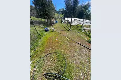 9841 Gary Drive, Browns Valley, CA 95918 - Photo 11