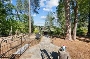 15250 Mitchell Mine Rd, Pine Grove, CA 95665 - Photo 49