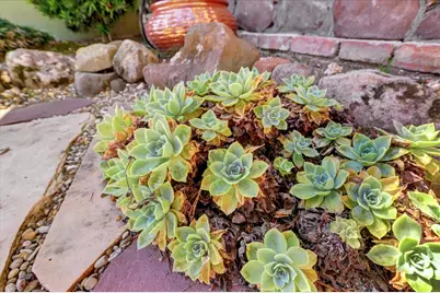 19355 Santa Maria Avenue, Castro Valley, CA 94546 - Photo 67