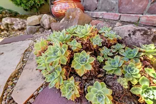 19355 Santa Maria Ave, Castro Valley, CA 94546 - Photo 67