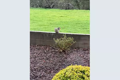 117 Wild Oat Court, Roseville, CA 95747 - Photo 55