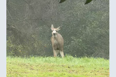 117 Wild Oat Court, Roseville, CA 95747 - Photo 53