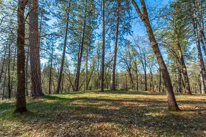 1535 Whispering Pines Drive, Meadow Vista, CA 95722 - Photo 89